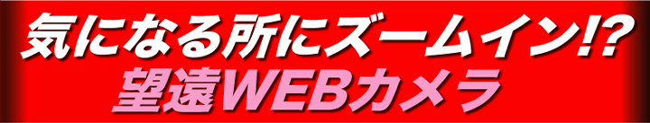 気になるところにズームイン!望遠WEBカメラ